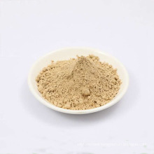 High Quality Best Price 100% Natural Eggplant Extract Aubergine Powder